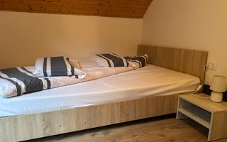 Casă de vacanță în Râu Sadului - Poză 11