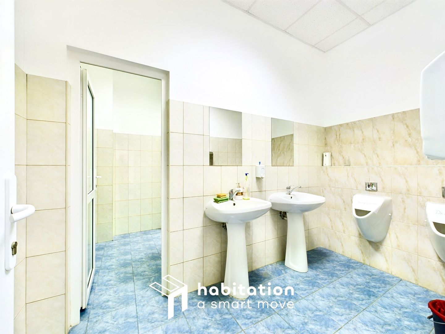 Clădire de birouri de închiriat în Dumbrăvița - Poză 18