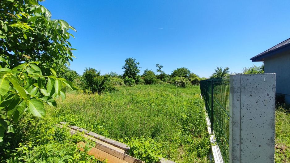 Lot pentru două case – Corbeanca Tamași - Poză 5