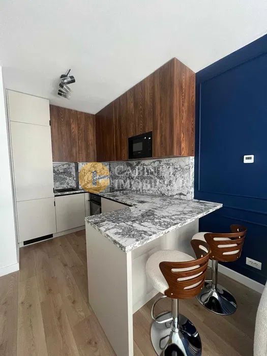 Chirie - 2 camere - Podu Ros - INTERMEDIAR - Poză 5