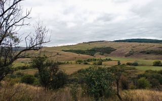 Teren 3,3 ha pentru viață la natură – livadă, liniște, Strunga Iași - Poză 4