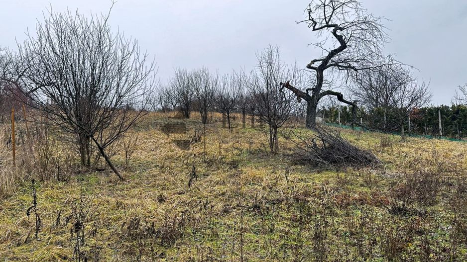 Teren intravilan 1765 mp cu panorama in Cartierul Podgoria - Poză 5