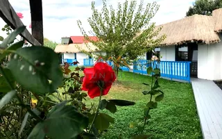 De vanzare pensiune 14 camere, teren 1500 mp, multiple dotari - Poză 11