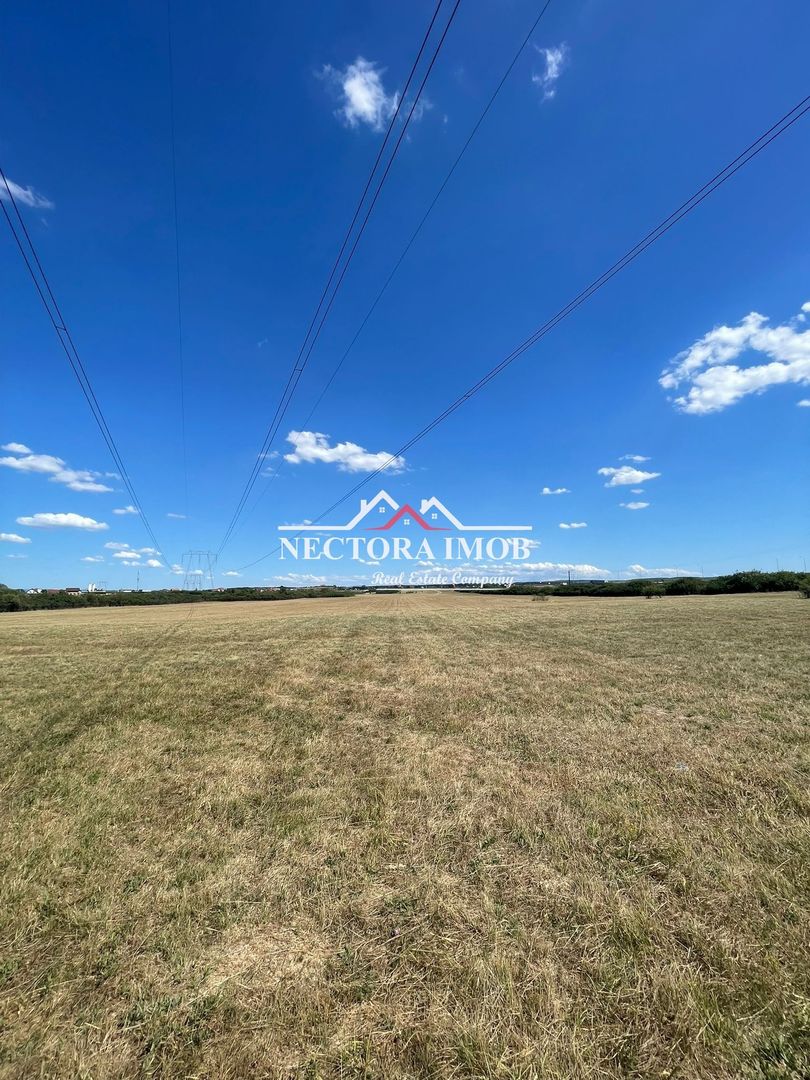 NECTORA IMOB-Teren Zona Osorhei, 5500 mp, 21 ml Front, 210 ml adancime - Poză 3