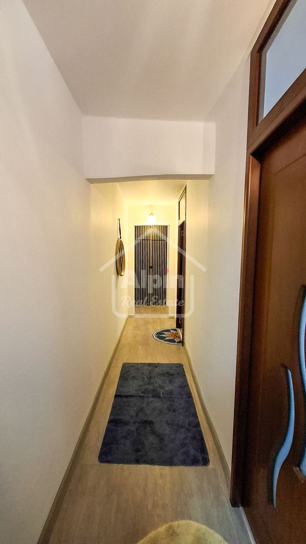 Suprafata Generoasa I Zona Gemenii - Poză 21