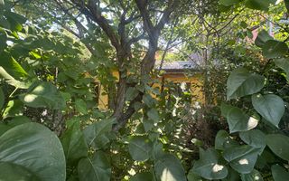 Casuta batraneasca cu teren 184 mp - Poză 7