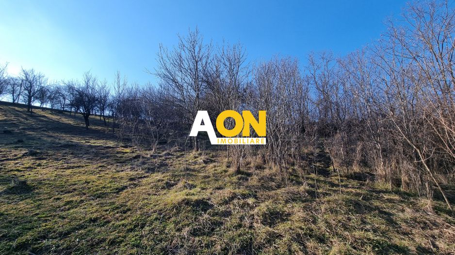 De vanzare 943 mp teren intravilan, cu utilitati, Oarda de Sus - Poză 4