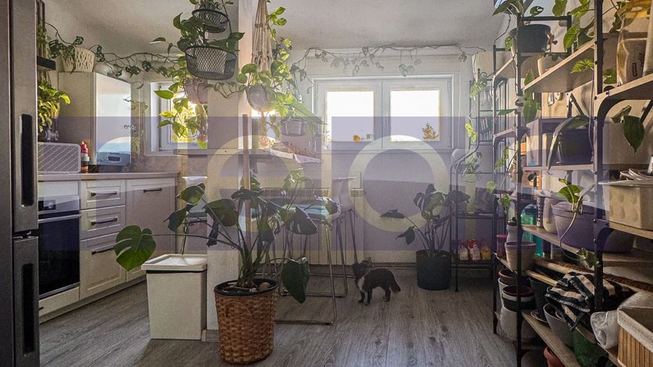 VANZARE 2 CAMERE IN VILA ZONA DOMENII | RENOVAT COMPLET | - Poză 6