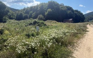 Teren intravilan, cu PUZ aprobat, 500 mp - zona Maierus/Sat Vacanță - Poză 2