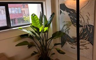 Apartament de lux| Imobil boutique | Calea Floreasca | Pet Friendly - Poză 12