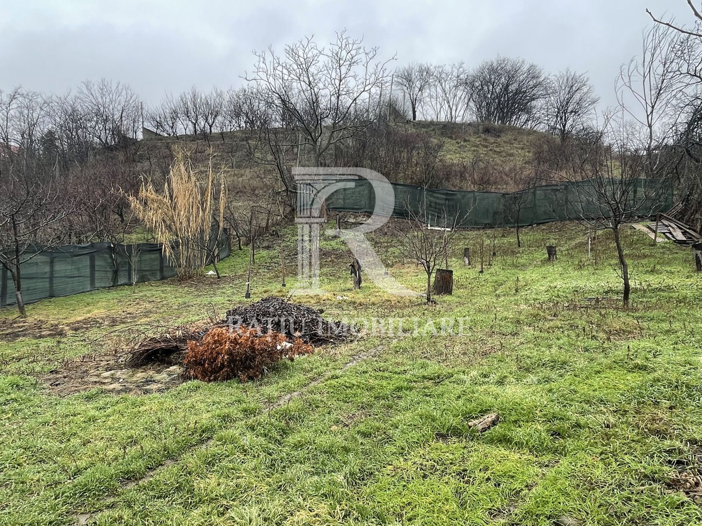 Oportunitate investitie  |  1259 mp  |  Zona Facliei  |  Oradea - Poză 22