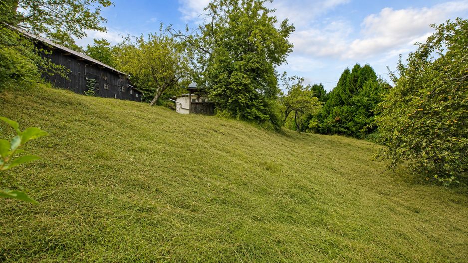 TEREN INTRAVILAN 1.498 MP CU CONSTRUCTIE | 3 FRONTURI STRADALE | SCHEI - Poză 16