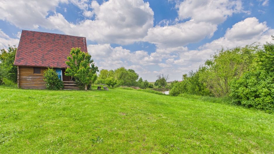 Teren cu baltă- oportunități multiple la Fibiș - Poză 37