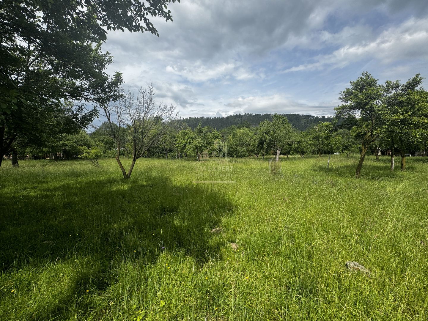 TEREN INTRAVILAN 4600 MP, VOINESTI, LERESTI, ARGEȘ - Poză 15