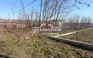 NECTORA IMOB-Teren Intravilan Lac Paleu, 886 mp, Front 27 ml,Utilitati - Poză 4