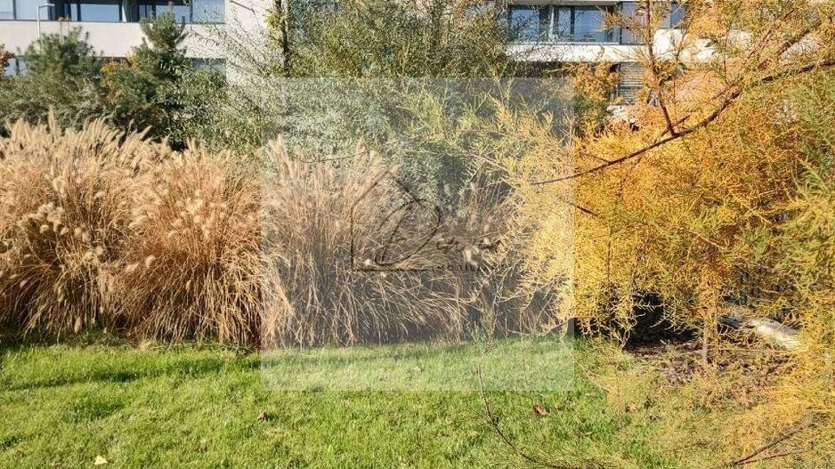 Apartament 3 camere Sos Chitilei Complex Atria - COMISION 0% - Poză 11