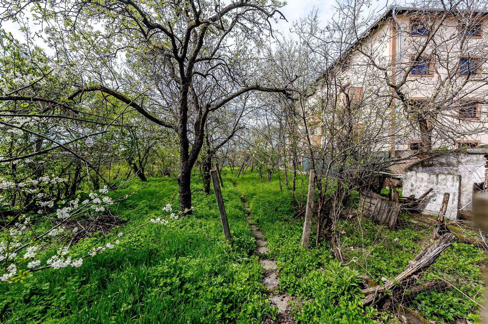 Ocazie Casa veche cu teren generos de 1095 mp in Parneava - Poză 3