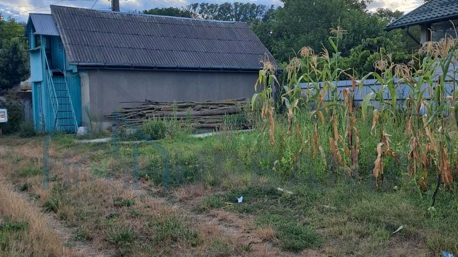 Domeniu de 7.500 mp cu casă bătrânească, anexe, livadă și iaz în Stolniceni-Prăjescu, Iași - Poză 3