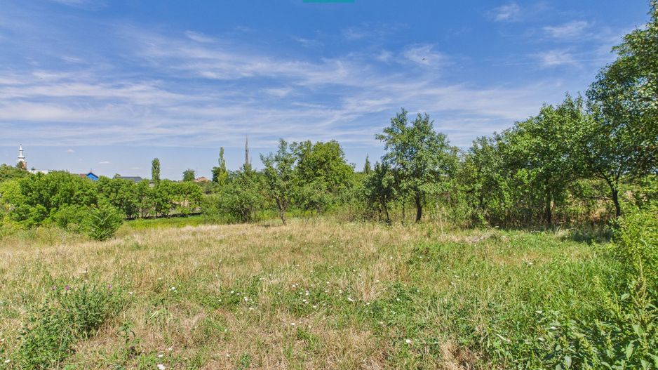 Teren 4919 mp– Comuna Călacea - Poză 3