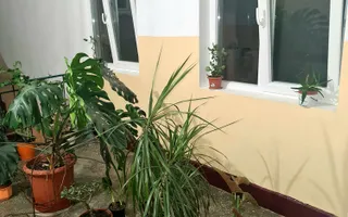 Apartament spatios cu 4 camere, 2 balcoane – Marghita, zona Penny - Poză 14