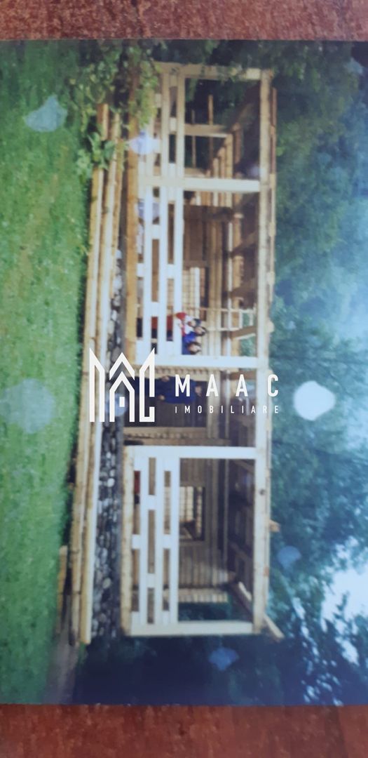 Paradis pe Transalpina in Sugag - Poză 7