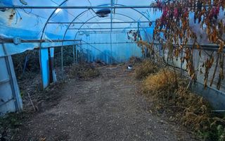 Casă cu arhitectură interbelică, 5 camere, teren 409 mp – Central - Poză 56