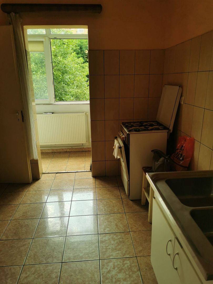 Apartament decomandat, 2 camere,  zona Vasile Aron - Poză 3
