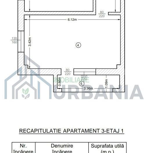 Apartament 1 cameră spațios, Visan Bucium, mobilat complet – de închiriat - Poză 8