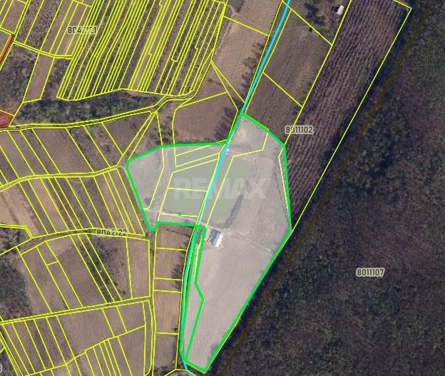 Teren de 0.40 Hectare cu Iaz propriu, lângă pădure – Vorniceni, Strășeni! - Poză 7