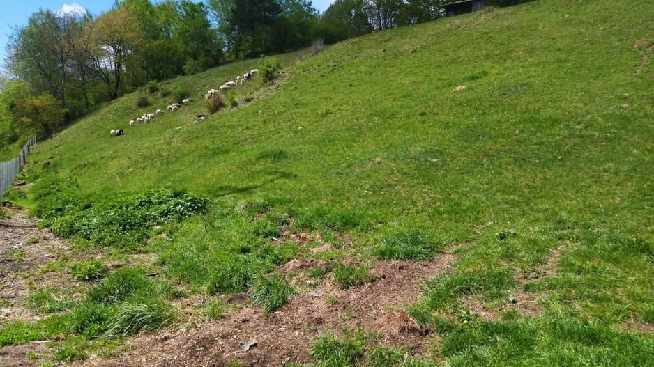 NAMAESTI - Valea Mare Pravat, 7000 mp. teren intravilan, ideal locuinta - Poză 4