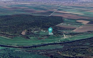 Teren intravilan, 1.700 mp, pădure Giroc - Poză 1