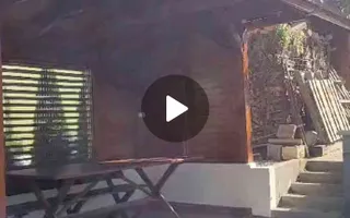 Casă Livezeni 815 mp teren, casa primitoare ,la doar 5 minute de oraș. - Poză 17