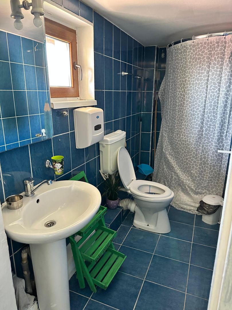 SPATIU COMERCIAL DOMENII, LOC PARCARE, CENTRALA, MOBILAT/UTILAT, CURTE - Poză 6