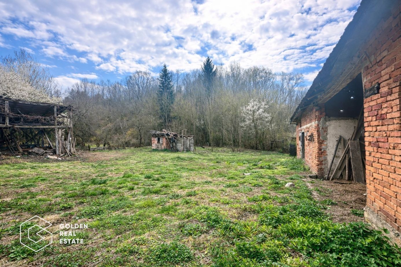 Casă cu teren generos 1.944 mp, Măgulicea, Vârfurile - Poză 13