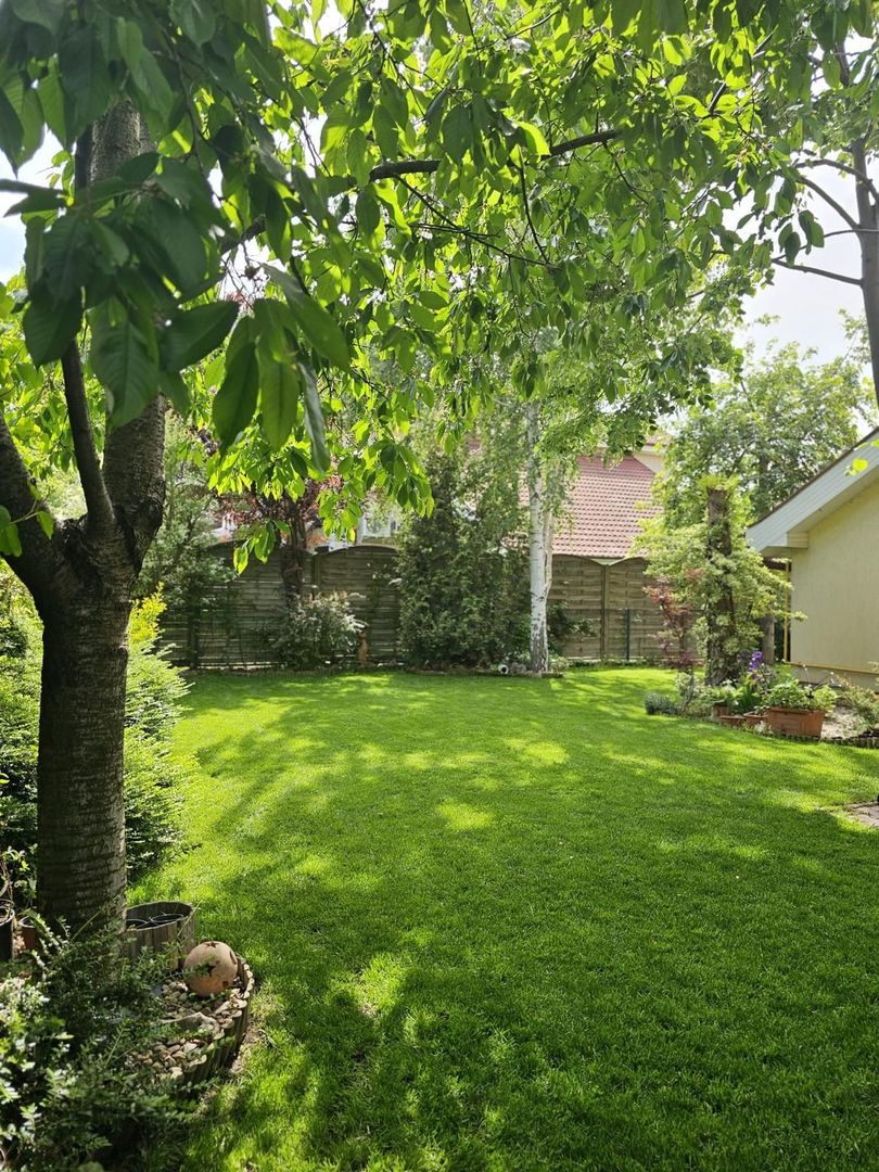 Vila 4 camere 220 mpu - 400 mp teren - Pipera / V Alecsandri - Poză 5