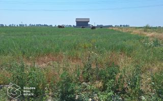 Teren pentru constructie duplex sau casa individuala, 840 mp, Chisoda - Poză 2