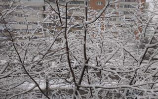 Apartament 3 camere, decomandat,  Mazepa 2 - Poză 3