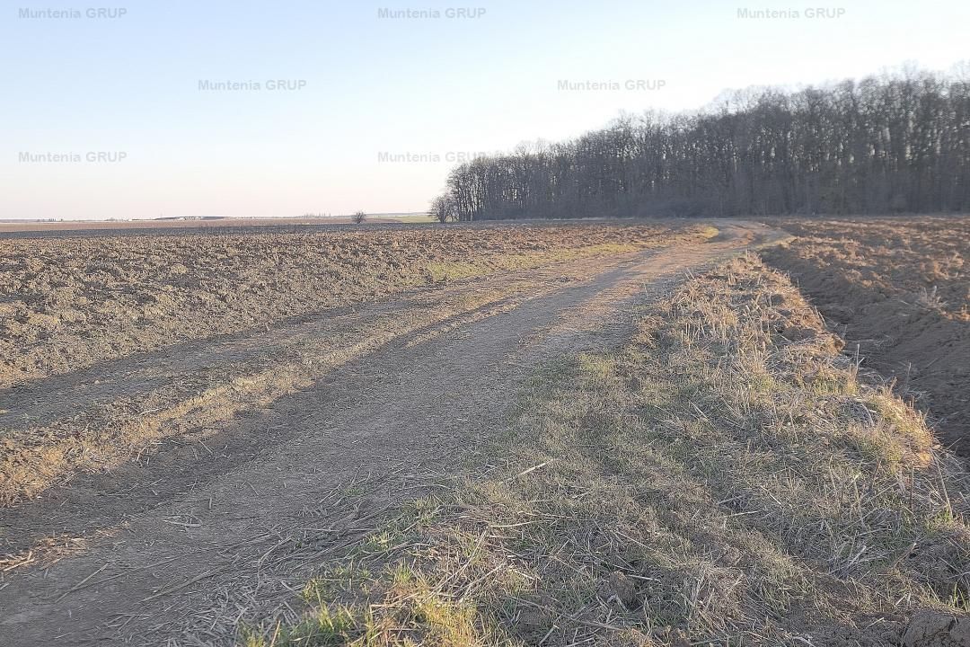 SNAGOV, langa Casa Vlasia, 3.500 mp. teren cu posibilitate pana la 7.000 mp. - Poză 5