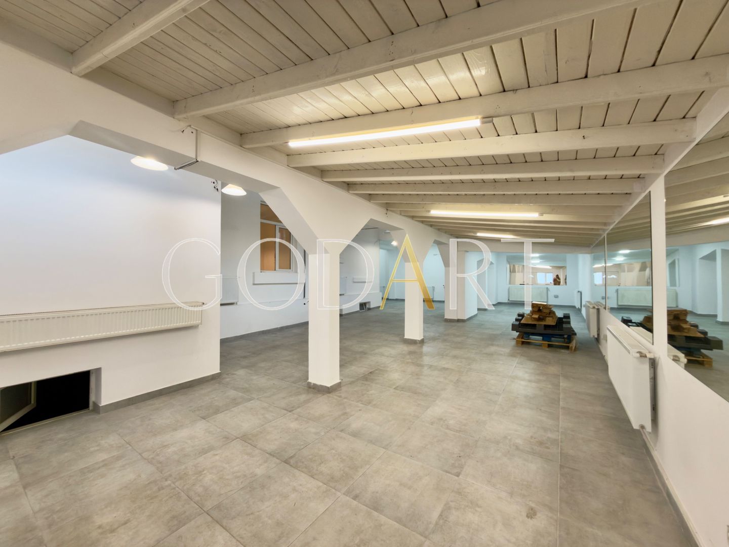 Vila spatioasa | Complet renovată | Central - Poză 4