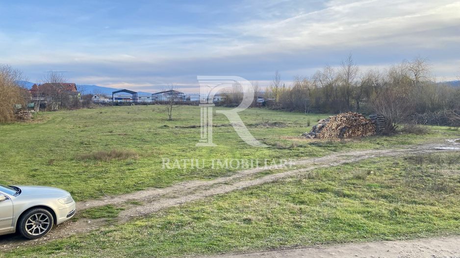 EXCLUSIV | TEREN INTRAVILAN | INVESTIȚIE | BEIUȘ – STR. PLOPILOR | 13.500 MP - Poză 7