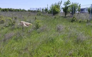 Teren intravilan Peris | 400 mp | Oportunitate investitie - Poză 6