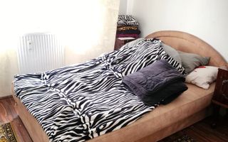 Vanzare Apartament 4 Camere 99 mp Etaj 1 Mall Vitan – Nerva Traian- Oc. Goga - Poză 8