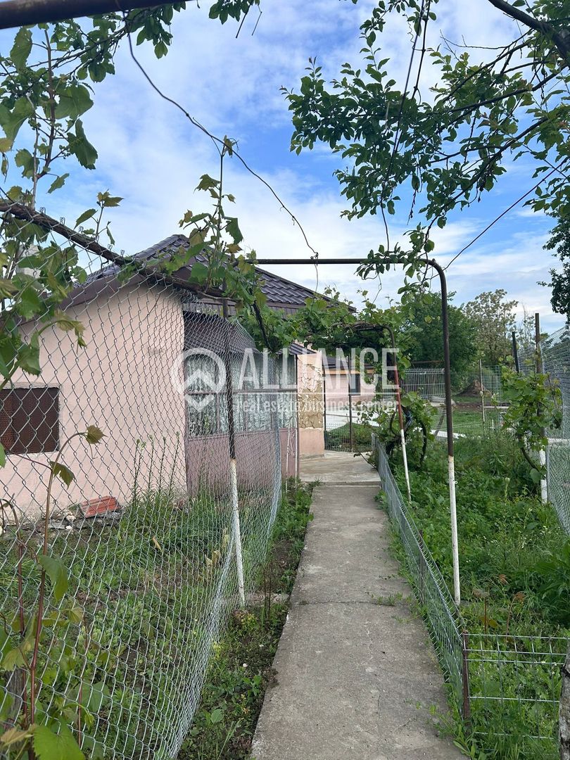 SAT CERCHEZU Casa 4 camere cu gradina! - Poză 4