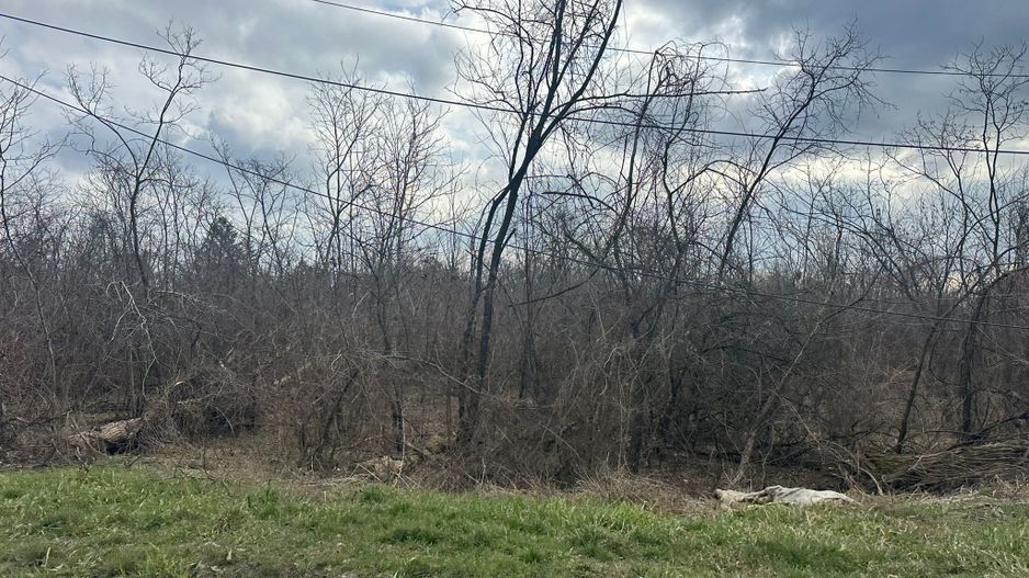 Teren intravilan cu PUZ aprobat 33.683 mp – Săftica/Balotești – deschidere DN1 - Poză 17