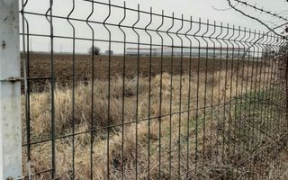 Teren, T7,  Domnesti, Zona industriala - Poză 1