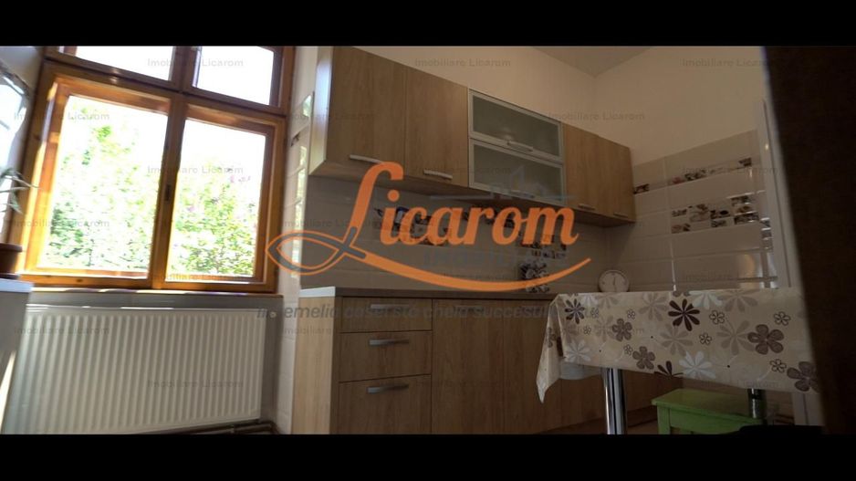 Oferta Conac boieresc P+M,teren 20400 mp - Poză 6