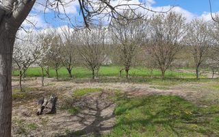 Casă cu teren generos la Bodo - Poză 5