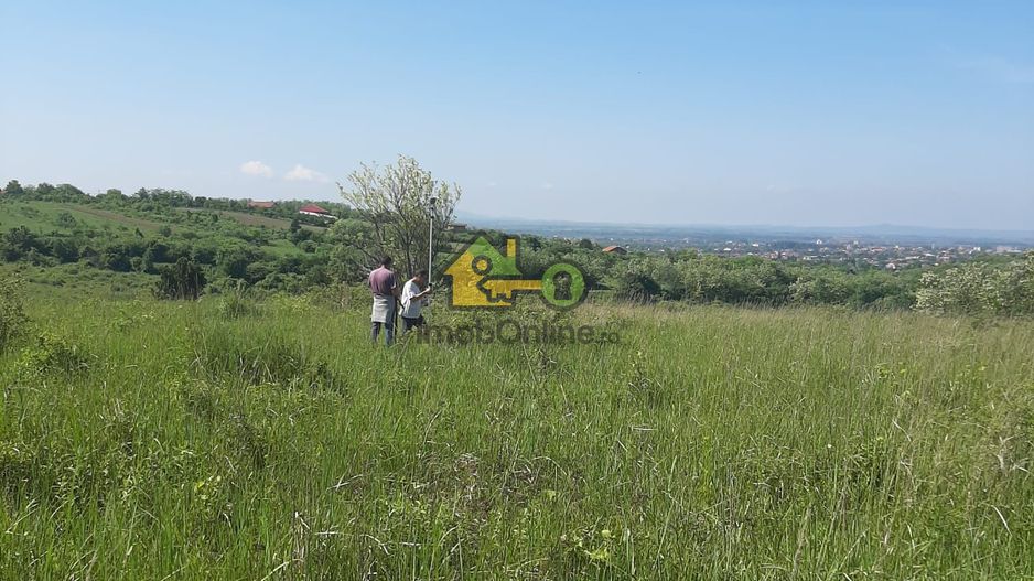 Teren Extravilan, Dealu Viilor, Lugoj - Poză 7