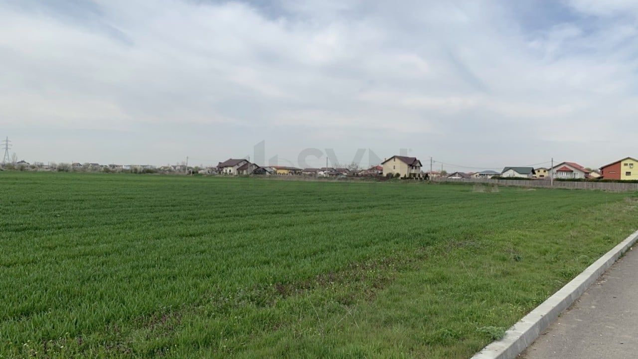 REL4001048 Teren Magurele - 16573 mp - Acces Dublu - Proximitate A0 - Poză 4