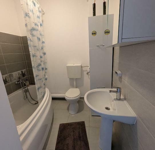 Ap 2 camere Valea Ialomiţei - Poză 6